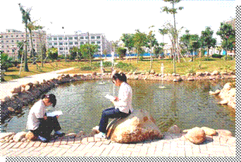 复件 _MG_4804